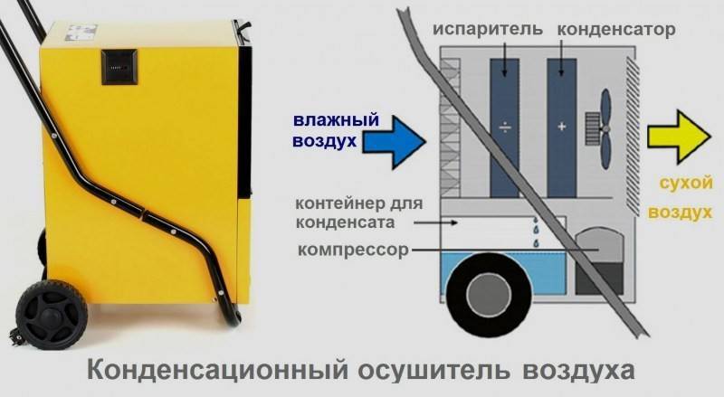 Нужен ли увлажнитель воздуха в квартире? аргументы за и против